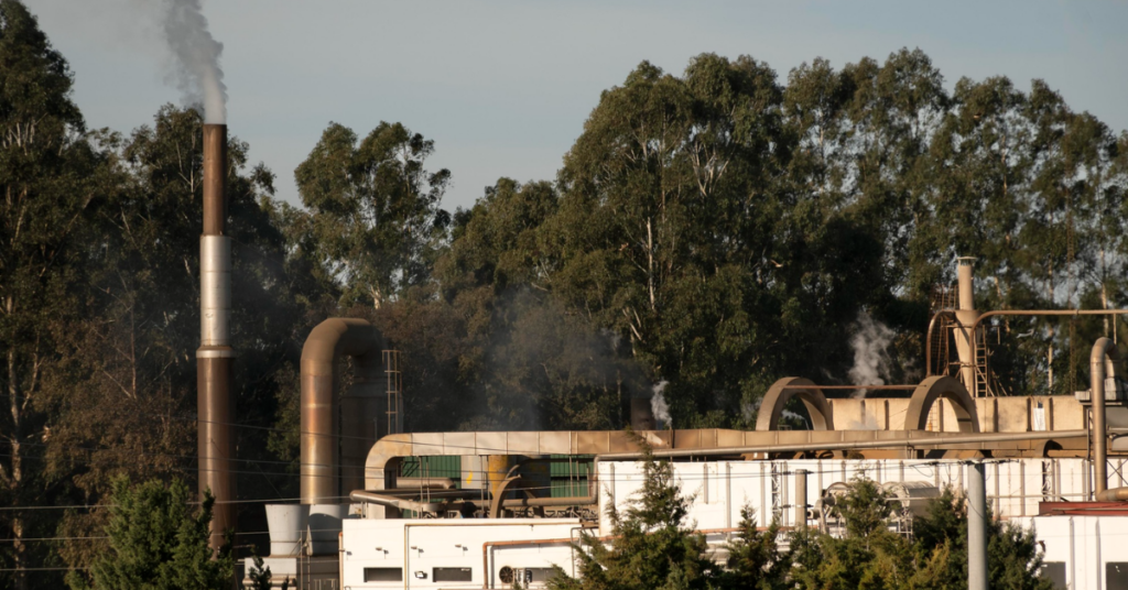 steam line fitting in indore